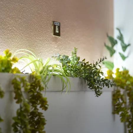 Orchidea Affittacamere Modena