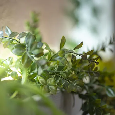 Affittacamere Orchidea Modena