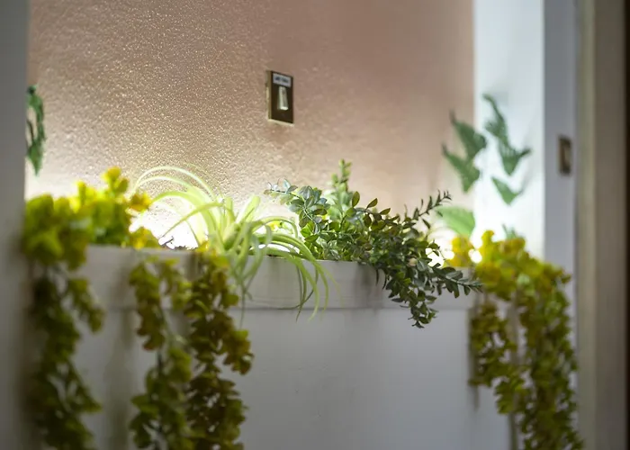 Orchidea For Tourists Hesperia Hosp Guest house Modena