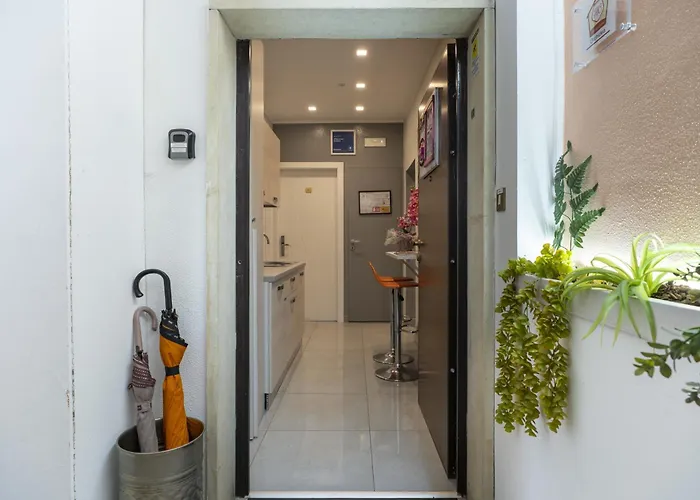 Orchidea For Tourists Hesperia Hosp 招待所