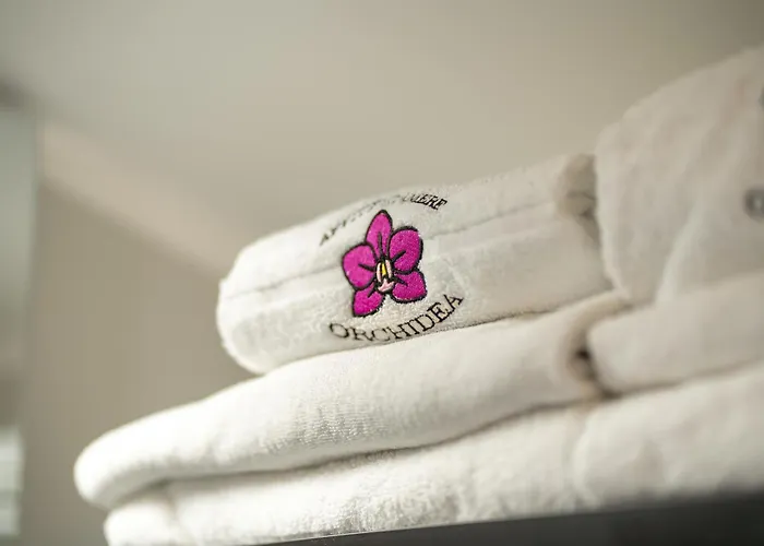 Orchidea For Tourists Hesperia Hosp *